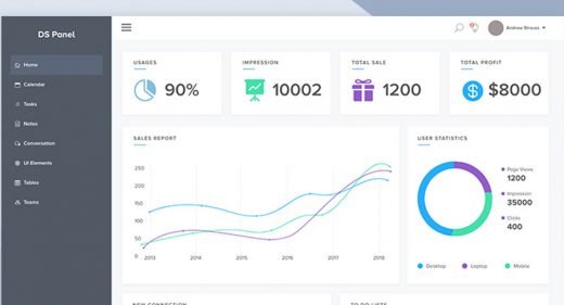 DS Panel Admin Dashboard Template