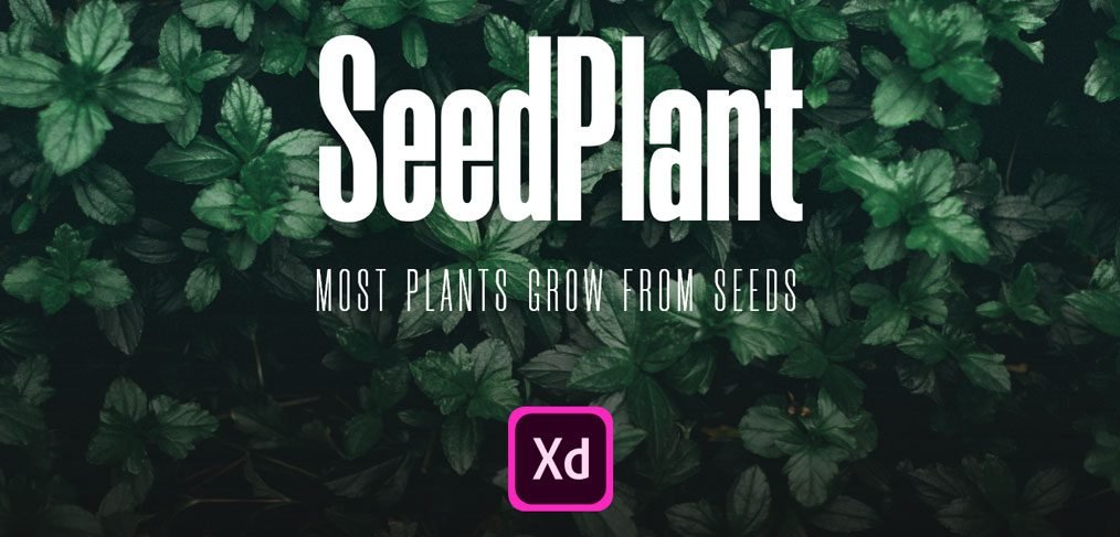 SeedPlant - Free Ecommerce XD UI kit