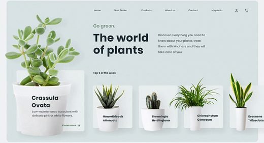 Plants website XD animation
