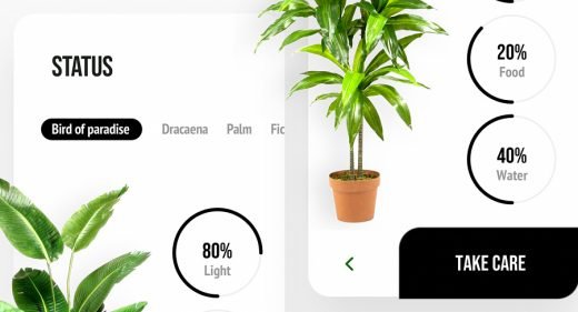 Free XD plant animated app