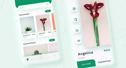 Plant shop mobile app concept